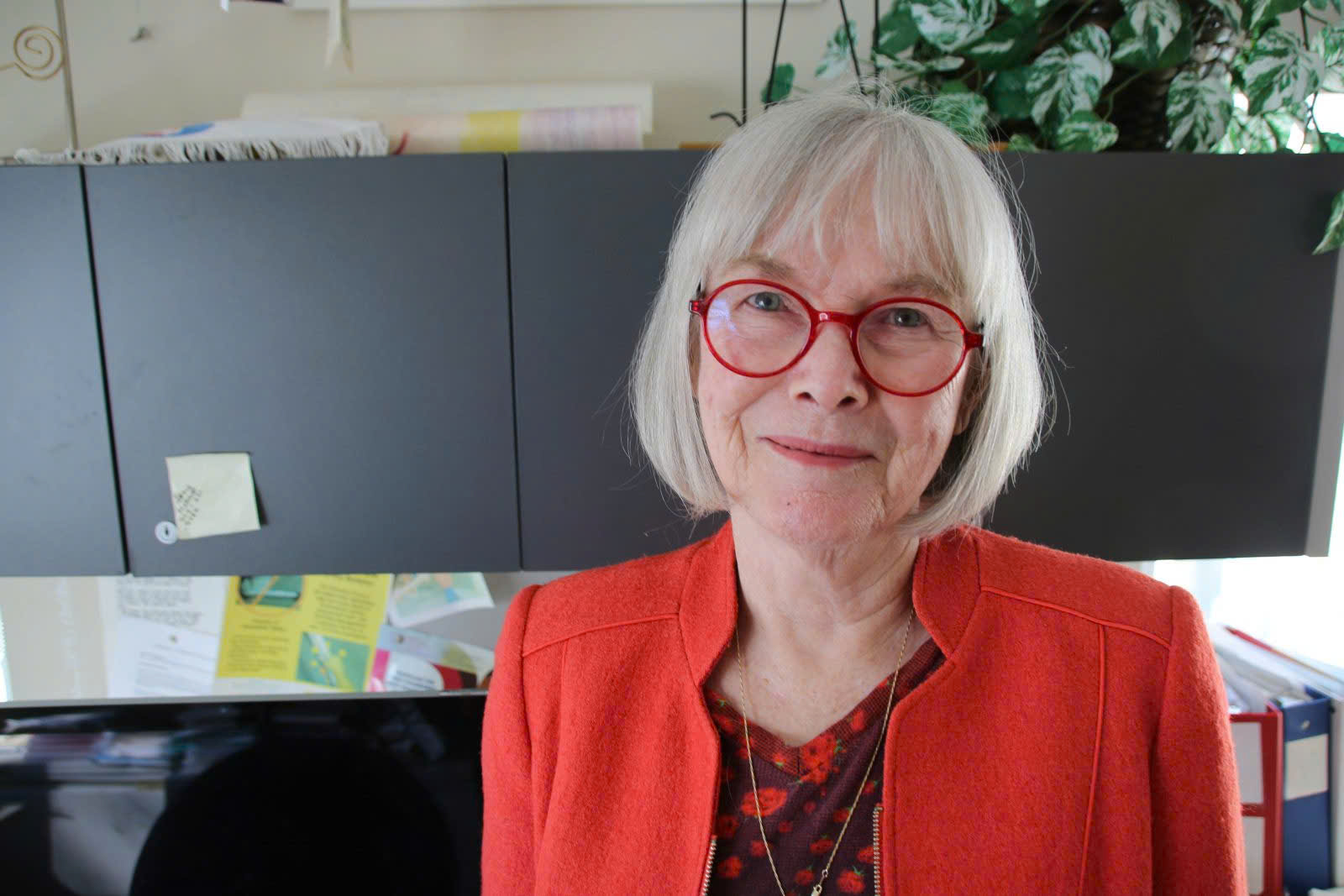 Prof Susan Drake